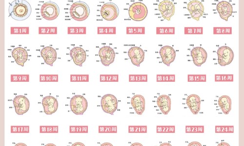 子宫癌症病人吃什么保健品好网 :分享子宫癌症病人吃什么保健品好些-子宫癌病人吃什么补品知识
