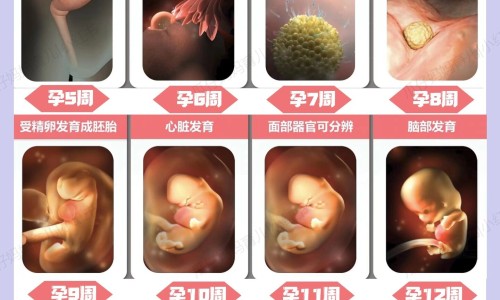 子宫癌症病人吃什么保健品好网 :分享子宫癌症病人吃什么保健品好些-子宫癌病人吃什么补品知识